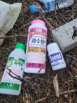 팜모닝 사과·영농일지 게시글 이미지