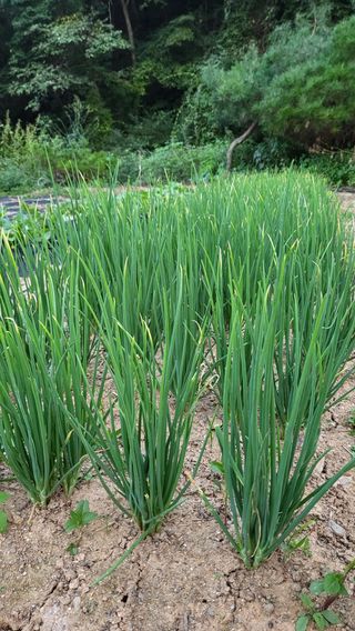 ♡5도2촌pys♡님의 자유주제 · 자유게시판 작성글 사진