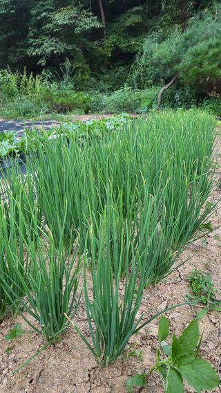 ♡5도2촌pys♡님의 자유주제 · 자유게시판 작성글 사진