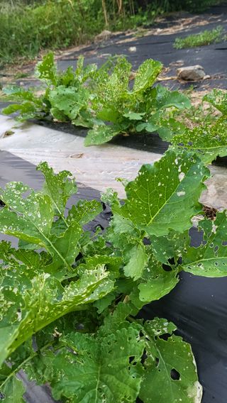 ♡5도2촌pys♡님의 자유주제 · 자유게시판 작성글 사진