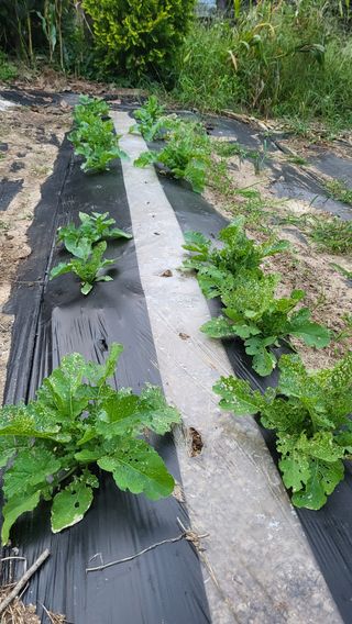 ♡5도2촌pys♡님의 자유주제 · 자유게시판 작성글 사진