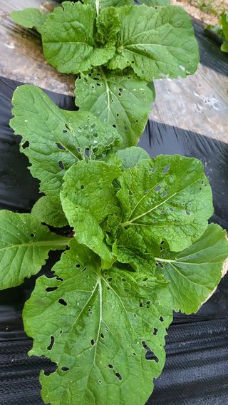 ♡5도2촌pys♡님의 자유주제 · 자유게시판 작성글 사진