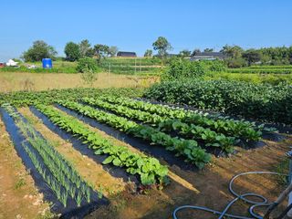 임병국(남리ㅡ림)님의 자유주제 · 자유게시판 작성글 사진
