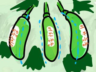 알 수 없음님의 참깨 · 자유게시판 작성글 사진