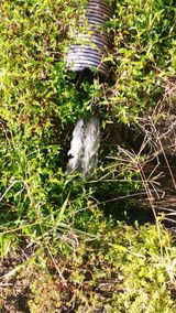 팜모닝 벼·영농일지 게시글 이미지