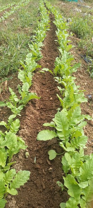 고병길님의 자유주제 · 자유게시판 작성글 사진