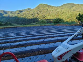 여우내 이순홍님의 기타작물 · 자유게시판 작성글 사진