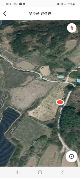 여우내 이순홍님의 기타작물 · 자유게시판 작성글 사진