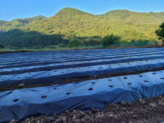 여우내 이순홍님의 기타작물 · 자유게시판 작성글 사진