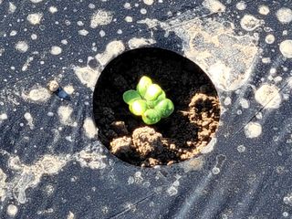 여우내 이순홍님의 기타작물 · 자유게시판 작성글 사진