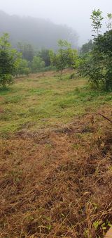 팜모닝 기타작물·영농일지 게시글 이미지