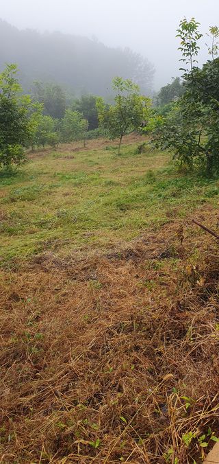 까치샘님의 기타작물 · 영농일지 작성글 사진