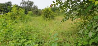 까치샘님의 기타작물 · 영농일지 작성글 사진