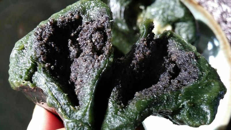 장금이1님의 장터 판매 상품 [영광모싯떡 1.3kg 25개,2봉 24.000] 첨부 사진