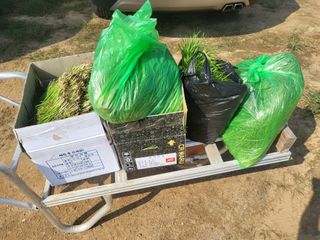 들꽃농장님의 우리동네 · 무료나눔 작성글 사진