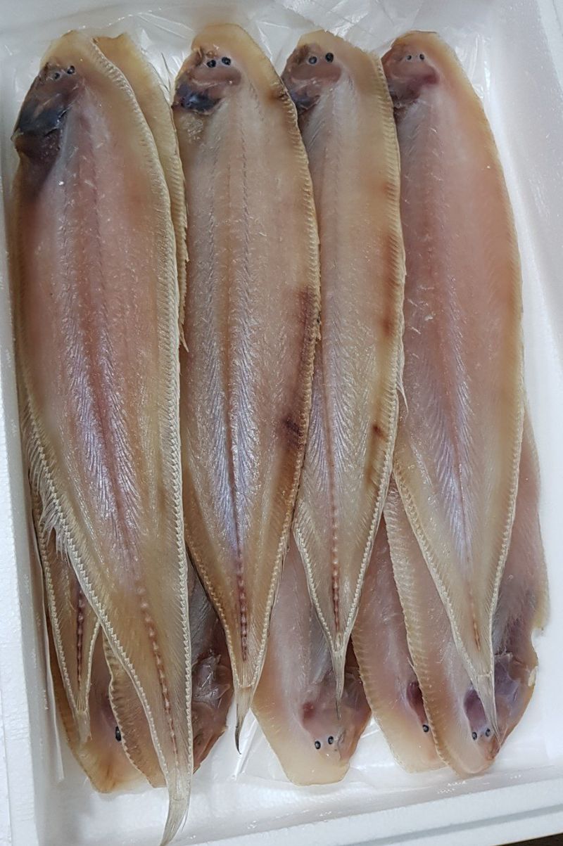 장금이1님의 장터 판매 상품 [국내산 왕박대10미 ㅡ39.900] 첨부 사진