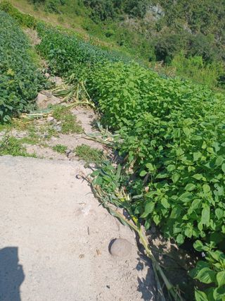 여규엽님의 자유주제 · 자유게시판 작성글 사진