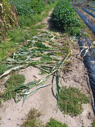 여규엽님의 자유주제 · 자유게시판 작성글 사진