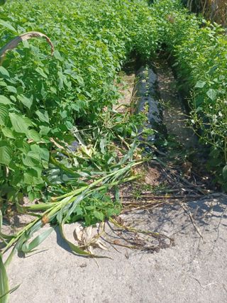 여규엽님의 자유주제 · 자유게시판 작성글 사진