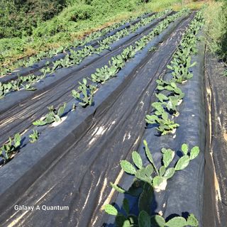 김성열 님의 작성글 사진