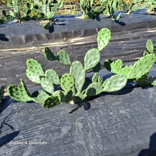 김성열 님의 작성글 사진