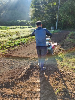 장흥 모경화 님의 기타작물 · 영농일지 작성글 사진