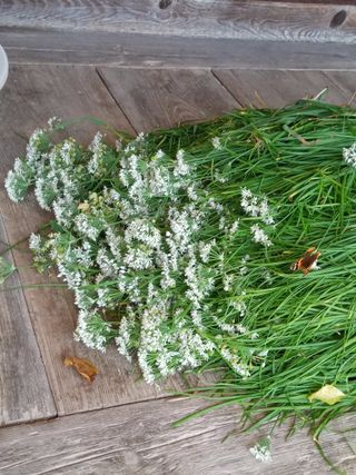 참깨20147님의 작성글 사진