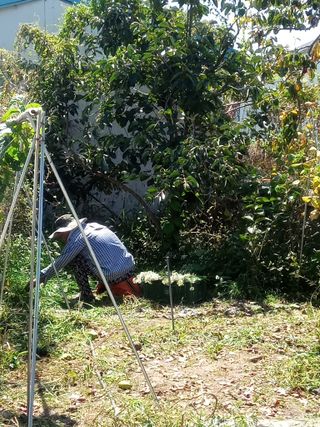 참깨20147님의 작성글 사진