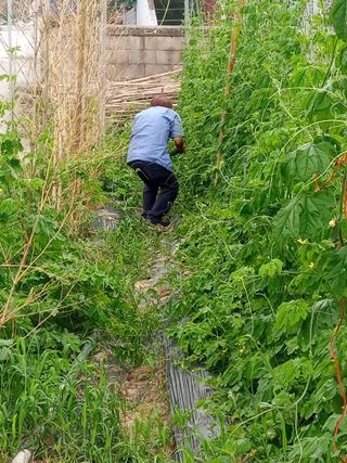 참깨20147님의 작성글 사진