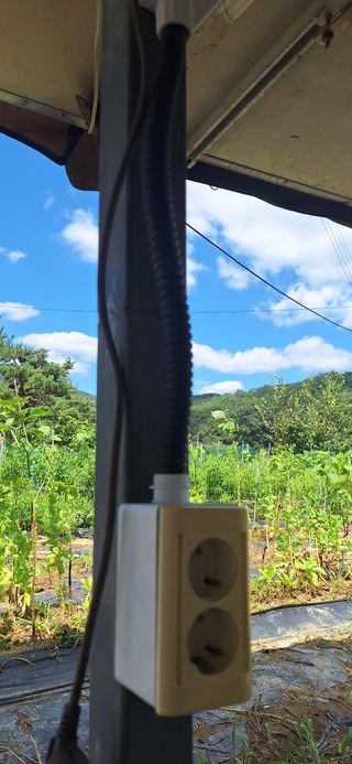 도시농부님의 고추 · 영농일지 작성글 사진