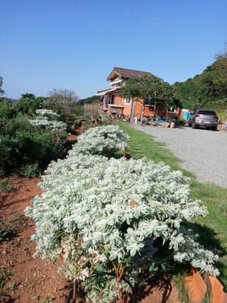 윤형곤님의 9월 내 작물 자랑하기 · 참여글 작성글 사진