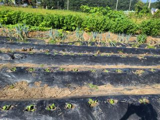 수기님의 자유주제 · 자유게시판 작성글 사진