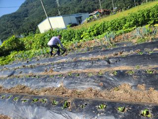 수기님의 자유주제 · 자유게시판 작성글 사진