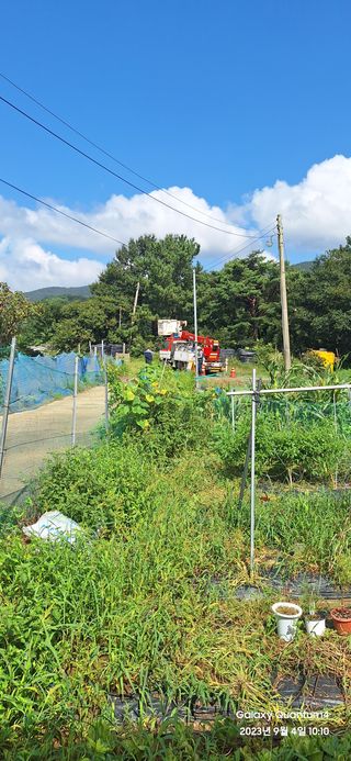 도시농부님의 기타작물 · 영농일지 작성글 사진