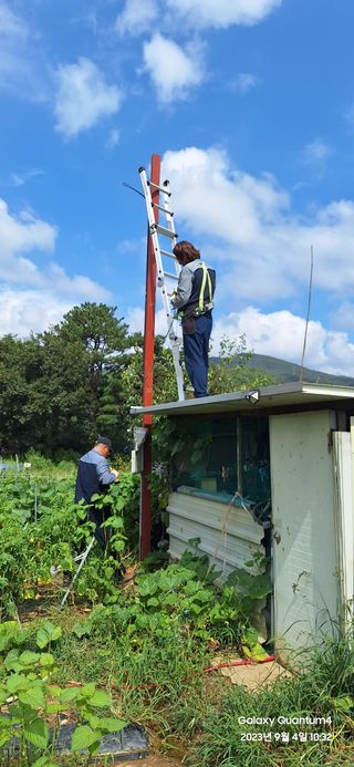 도시농부님의 기타작물 · 영농일지 작성글 사진