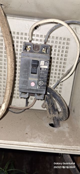 도시농부님의 오이 · 영농일지 작성글 사진