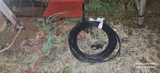 도시농부님의 오이 · 영농일지 작성글 사진