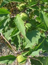 팜모닝 자유주제·자유게시판 게시글 이미지