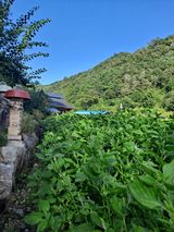 팜모닝 9월 내 작물 자랑하기·참여글 게시글 이미지