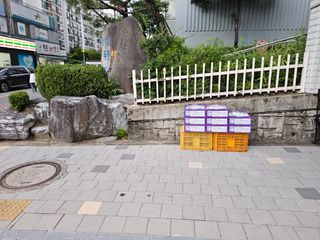 송광영님의 포도 · 자유게시판 작성글 사진