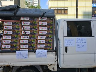 송광영님의 포도 · 자유게시판 작성글 사진