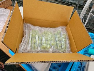 터골농장님의 작성글 사진