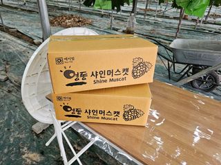 터골농장님의 작성글 사진