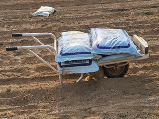 들꽃농장님의 마늘 · 토양준비 작성글 사진