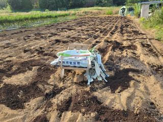 들꽃농장님의 마늘 · 토양준비 작성글 사진