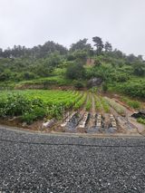 팜모닝 9월 내 작물 자랑하기·참여글 게시글 이미지