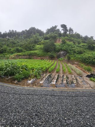 김희덕님의 9월 내 작물 자랑하기 · 참여글 작성글 사진
