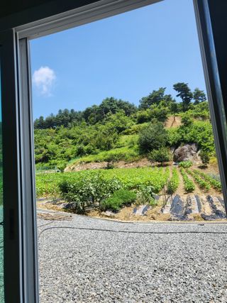 김희덕님의 9월 내 작물 자랑하기 · 참여글 작성글 사진