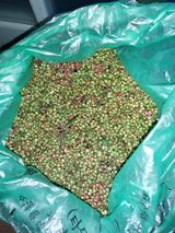 팜모닝 · 게시글 이미지