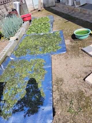 송경희님의 작성글 사진